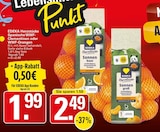 WEZ Porta Westfalica Prospekt mit  im Angebot für 1,33 €