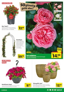 Blumentopf im Hagebaumarkt Prospekt "Raus in den Garten? SO günstig geht das!" mit 16 Seiten (Osnabrück)