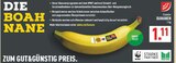 Bananen im Angebot bei Marktkauf in Ratingen Bananen Angebote von Gut & Günstig bei Marktkauf Ratingen für 1,11 €
