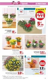 Chrysanthèmes Angebote im Prospekt "U Express" von U Express Chrysanthèmes Angebote im Prospekt "U Express" von U Express auf Seite 25