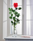 Promo Rose éternelle rouge à 9,99 € dans le catalogue Carrefour à Rennes