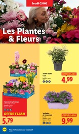 Plantes Angebote im Prospekt "Foire aux Vins" von Lidl Plantes Angebote im Prospekt "Foire aux Vins" von Lidl auf Seite 26