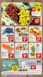 Aktueller nahkauf Prospekt mit Pilze, "nichts liegt näher", Seite 3