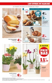 Fleurs Angebote im Prospekt "Super U" von Super U Fleurs Angebote im Prospekt "Super U" von Super U auf Seite 37