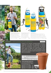 Schinken im RHG Baucentrum Prospekt in Hof Aktueller RHG Baucentrum Prospekt mit Schinken, "Der Katalog für Gartengestaltung, Gartenpflege und Gartenfreizeit.", Seite 225