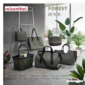 Aktueller Zurbrüggen Prospekt mit Korb, "FRÜHLINGS-BOTEN FÜR DEIN ZUHAUSE", Seite 89