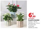 Plante fleurie - Super U à Draveil Plante fleurie en promo chez Super U Draveil à 6,99 €