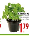 Basilikum XL im EDEKA Prospekt zum Preis von 1,79 €