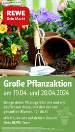 REWE Prospekt für Eicklingen: "Dein Markt", 26 Seiten, 15.04.2024 - 20.04.2024