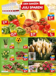 Salat im aktuellen Netto Marken-Discount Prospekt (Stuttgart) Salat im Netto Marken-Discount Prospekt "Aktuelle Angebote" mit 53 Seiten (Stuttgart)
