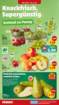 Weintrauben im Penny Prospekt "Wer günstig will, muss Penny." mit 41 Seiten (Essen)