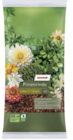Pinienrinde von toom im aktuellen toom Baumarkt Prospekt für 0,99 €