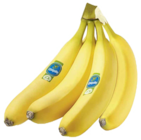 Bananen im Angebot bei E center in Heilbronn Bananen Angebote von Chiquita bei E center Heilbronn für 1,99 €