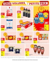 Barbecue en promo dans le catalogue Carrefour à la page 27