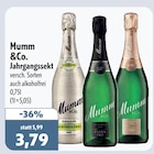 Aktuelles Jahrgangssekt Alkoholfrei Angebot bei aktiv & irma in Oldenburg ab 3,79 €