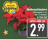 Weihnachtsstern im Angebot bei EDEKA in Straubing Weihnachtsstern Angebote bei EDEKA Straubing für 2,99 €