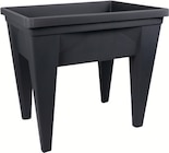 Espace Potager 85L - EDA dans le catalogue Intermarché Hyper