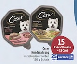 Hundenahrung Angebote von Cesar bei E center Suhl