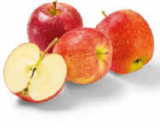 Äpfel rot im Angebot bei Netto Marken-Discount in Aalen Äpfel rot Angebote bei Netto Marken-Discount Aalen für 2,29 €