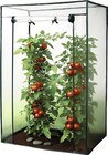 XXL-Gewächshaus Angebote von Top Flora bei Wreesmann Stendal für 12,99 €