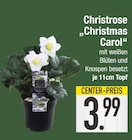 Christmas Carol von  im aktuellen EDEKA Prospekt für 3,99 €