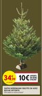 Promo Sapin Nordmann 150/175 cm avec bûche offerte à 34,99 € dans le catalogue Intermarché Super à Les Baumettes