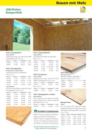 Dachplatten Angebot im aktuellen Holz Possling Prospekt auf Seite 57
