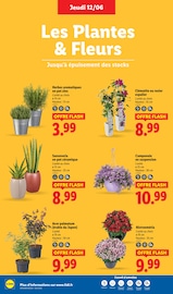 Prospectus Lidl "Fan de l'été" en cours à Villeneuve-d'Ascq, Page 28 Catalogue Lidl en cours à Villeneuve-d'Ascq, "Fan de l'été", Page 28