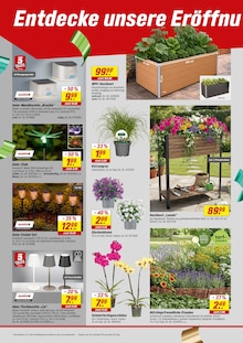 Blumen im aktuellen toom Baumarkt Prospekt (Nürnberg) Blumen im toom Baumarkt Prospekt "Respekt, wer's selber macht." mit 12 Seiten (Nürnberg)