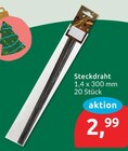 Steckdraht für 2,99 € bei budni im Angebot Steckdraht im aktuellen budni Prospekt