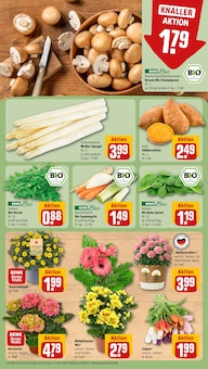 Spargel im aktuellen REWE Prospekt (Bremen) Spargel im REWE Prospekt "Dein Markt" mit 16 Seiten (Bremen)