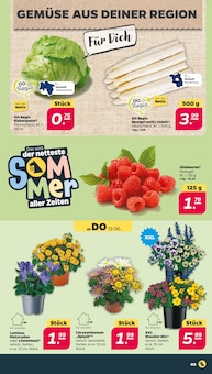 Blumen Angebot im Netto mit dem Scottie Prospekt, gültig von 10.06.2025 bis 14.06.2025 Blumen Angebot im aktuellen Netto mit dem Scottie Prospekt auf Seite 4