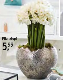 Ernstings family Bielefeld - Pflanztopf Pflanztopf Angebot bei Ernstings family Bielefeld im Prospekt "Ei Love Ostern"
