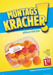Obst im aktuellen E center Prospekt (Dresden) Obst im E center Prospekt "Wir lieben Lebensmittel!" mit 38 Seiten (Dresden)