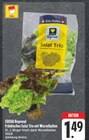Aktuelles Fränkisches Salat Trio mit Wurzelballen Angebot bei E center in Bamberg ab 1,49 €