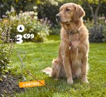 Ensemble piquet spirale pour fixation au sol avec laisse dans le catalogue Gifi