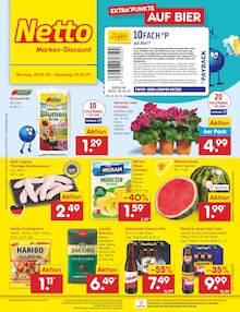 Kaffee im Netto Marken-Discount Prospekt "Aktuelle Angebote" mit 44 Seiten (Falkensee)