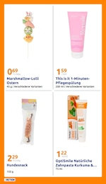 Kurkuma Angebot im aktuellen Action Prospekt auf Seite 26