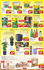 Blumentopf Angebot im aktuellen Zimmermann Prospekt auf Seite 9