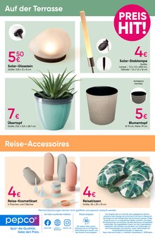 Blumentopf im PEPCO Prospekt "PREIS HIT!" mit 15 Seiten (Halle (Saale))