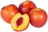 Aktuelle Obst Angebote bei REWE in Nürnberg Aktuelles Bio Nektarinen Angebot bei REWE in Nürnberg ab 1,99 €