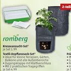Aktuelles Kresseanzucht-Set Angebot bei Penny in Wiesbaden ab 1,99 €