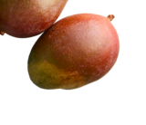 Mango im Angebot bei ALDI SÜD in Freiburg Mango Angebote bei ALDI SÜD Freiburg für 1,11 €