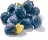 Zwetschen im Netto mit dem Scottie Prospekt Zwetschen von GO Regio im aktuellen Netto mit dem Scottie Prospekt für 1,79 €