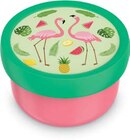 Brotdose Angebote von MEPAL bei Netto Marken-Discount Salzgitter für 4,99 €