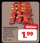 Feuerspieße XXL bei Markant Nordwest im Holtland Prospekt für 1,99 €