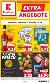 Aktueller Kaufland Supermarkt Prospekt in Neckarwestheim und Umgebung, "EXTRA-ANGEBOTE" mit 8 Seiten, 19.03.2026 - 25.03.2026