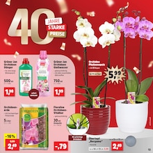 Blumentopf im Thomas Philipps Prospekt "Top Angebote" mit 35 Seiten (Karlsruhe)