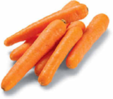Netto Marken-Discount - Bio Möhren Angebot im Prospekt Bio Möhren bei Netto Marken-Discount im Prospekt "" für 1,15 €