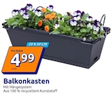 Balkonkasten für 4,99 € bei Action im Angebot Balkonkasten im aktuellen Action Prospekt